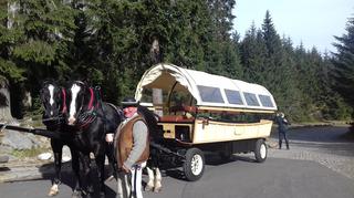 Konie znikną z trasy nad Morskie Oko? W Tatrzańskim Parku Narodowym pojawił się nowy pomysł, nadal budzący wątpliwości