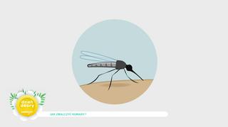 Komary atakują. Jak odstraszyć uciążliwe owady?