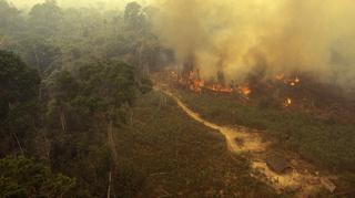 Czemu płonąca Amazonia szybko nie zgaśnie?