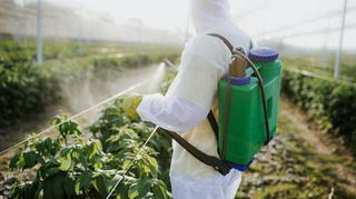 Gdzie znajdują się pestycydy i jak się ich pozbyć?