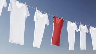 Jaki proszek do prania jest najlepszy? Specjaliści przeprowadzili dokładne testy