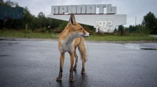 Czarnobyl – jak wygląda zwiedzanie miasta? Bezpieczeństwo podczas wycieczki do Strefy Wykluczenia
