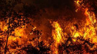 Duże zagrożenie pożarowe w lasach. Należy zachować ostrożność