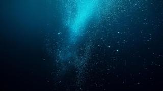 Szokujące odkrycie - naukowcy ożywili organizmy uśpione od 100 milionów lat pod dnem Oceanu Spokojnego 