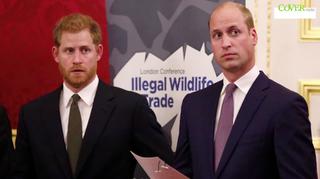 William i Harry nie pójdą obok siebie na pogrzebie księcia Filipa - ujawnia Pałac Buckingham 