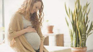 Jak poprawnie liczyć miesiące ciąży – kalendarz ciąży