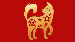 Chińskie znaki zodiaku - Pies. Jaki jest?