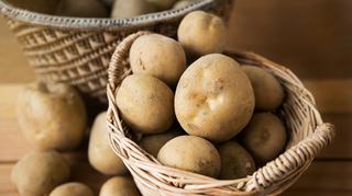 Ziemniaki, pyry, kartofle. Smażone, pieczone, w sałatce i zupie - zobacz przepisy Piotra Kucharskiego 