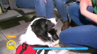Pies Zenek - jedyny w Polsce lotniskowy terapeuta