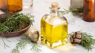 Wła­ści­wo­ści i zasto­so­wa­nie olejku cypry­so­wego
