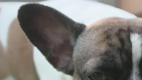 DD_20220828_STO_rep_REP
