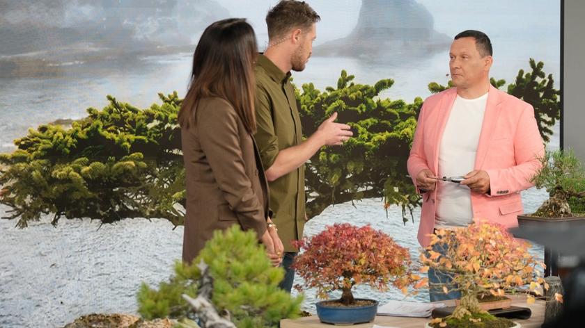 Piotr Czerniachowski. Mistrz sztuki bonsai