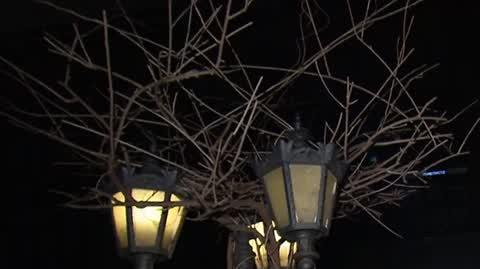 CZT_27