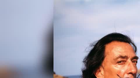 DD_20241020_Dali_rep_REP