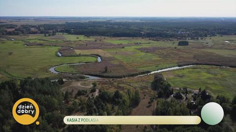 Klatka kluczowa-452797