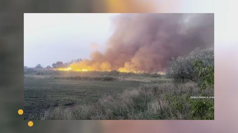Klatka kluczowa-247639