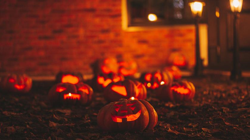 Dynie halloweenowe przed budynkiem