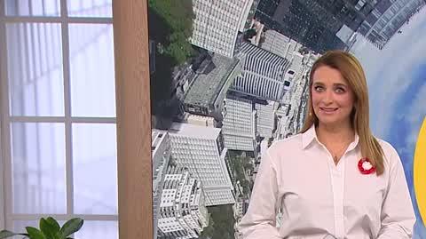 DD_20241111_Newsy_1_REP_ok