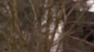 Ten dom kręci się wokół własnej osi - napisy