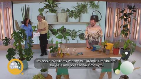 Klatka kluczowa-383738