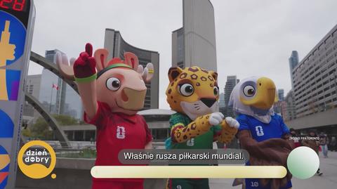 Klatka kluczowa-488071