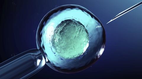 Czy robot może przeprowadzić część procedury in vitro? 