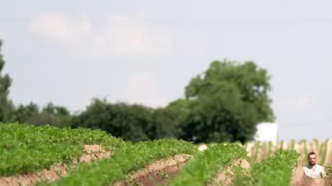 DD_20230709_Uprawy_REP