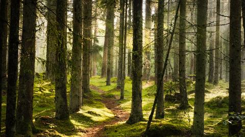 Deadzoning, czyli jak spędzić wakacje 2026?