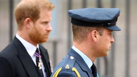 Harry i William - czy się spotkają?