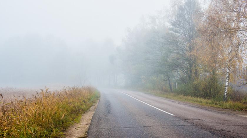 Zamglona leśna droga
