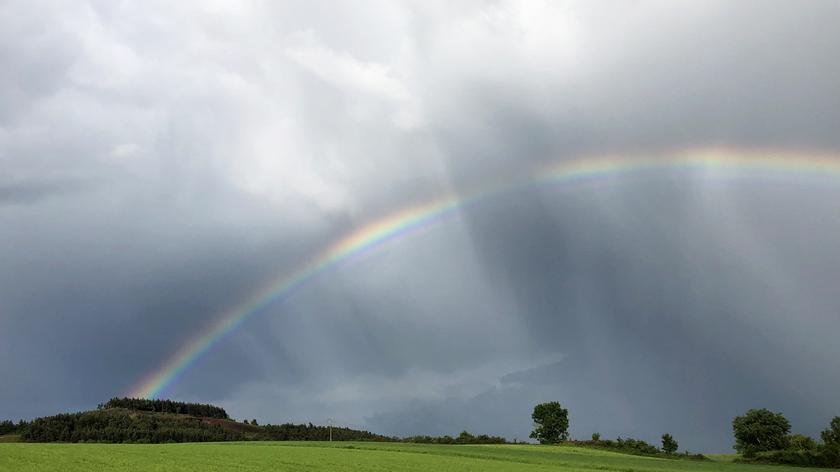 Zachmurzone niebo nad wiosenną łąką