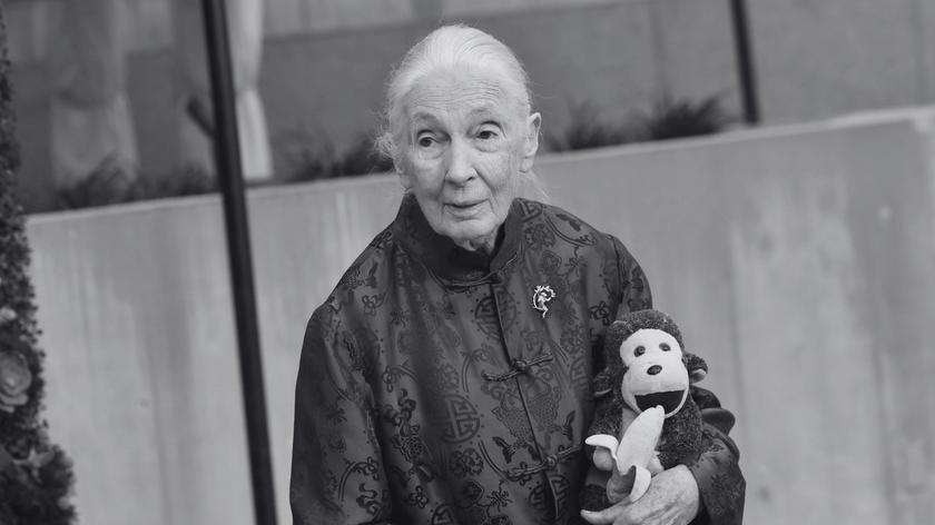 Jane Goodall 