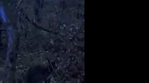271-175735