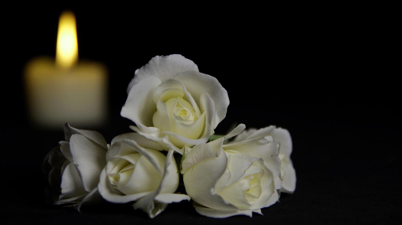 Białe kwiaty przy świecy na ciemnym tle