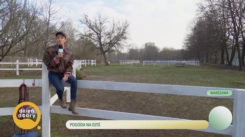 Klatka kluczowa-311329