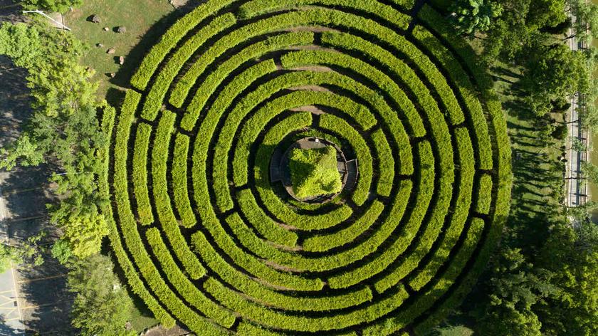 Labirynt z żywopłotu