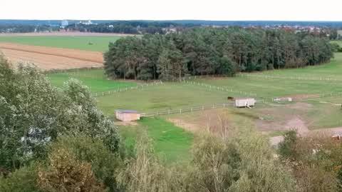 DD_20241002_Wies_REP_napisy