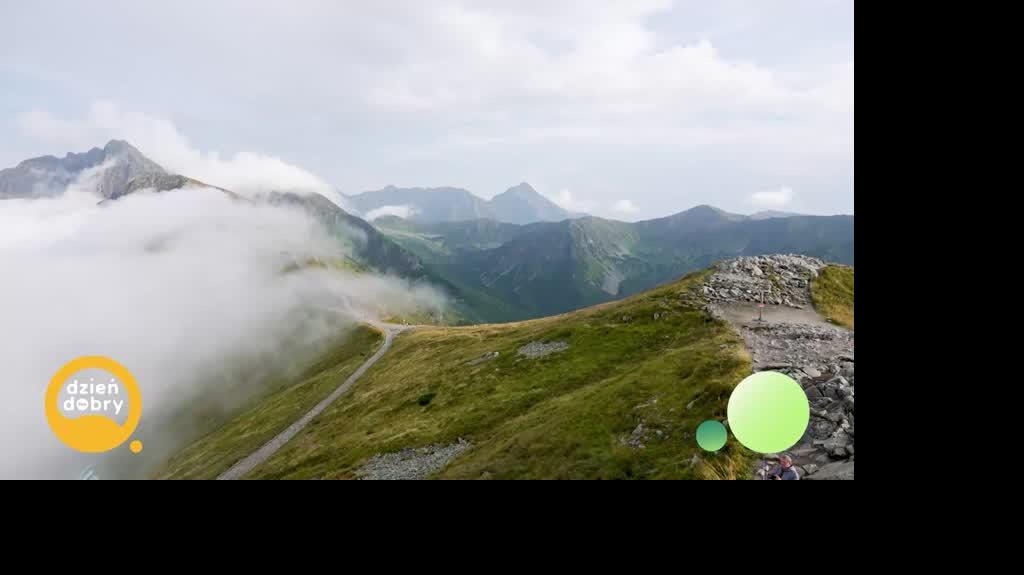 DD_20250901_Schronisko_rep_napisy