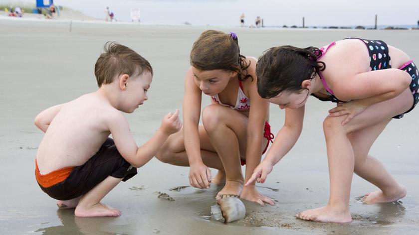 dzieci na plaży, meduza