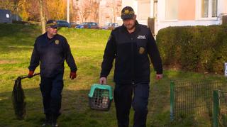 Ekopatrol – na ratunek zwierzętom 