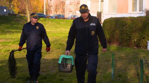 funkcjonariusze Ekopatrolu 