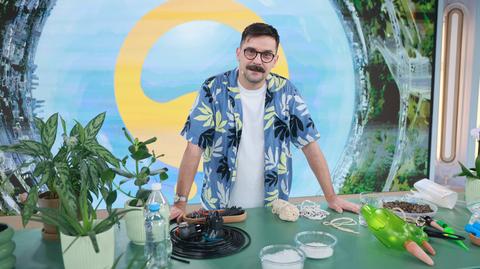 Jak zadbać o rośliny, gdy wybieramy się na urlop? 