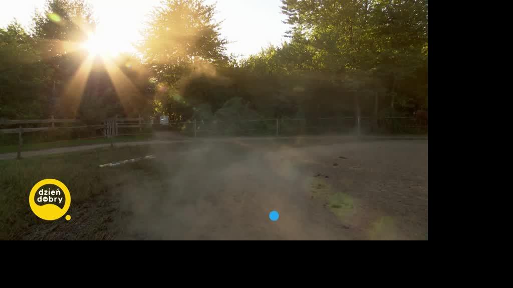 DD_20220903_Kumorek_rep_REP