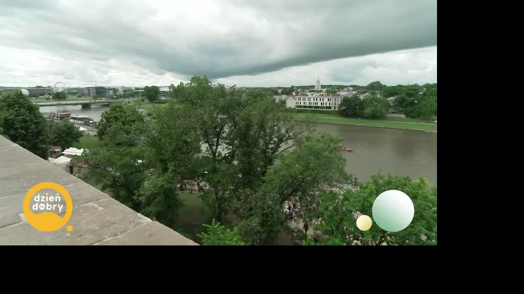 DD_20250608_Sawicki_live