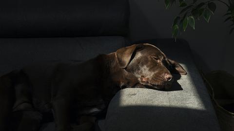 GettyImages-1249811288_Easy-Resize