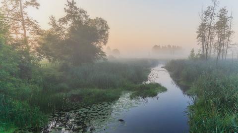 Gdzie na tanie wakacje na Podlasiu?