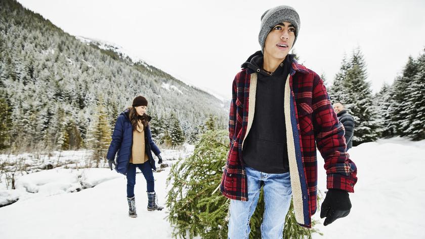 śnieg, choinka, zima, białe święta