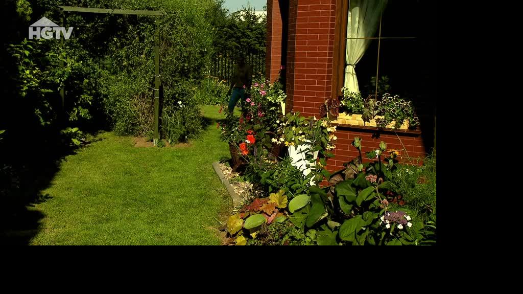 HGTV_NMWO_Rosliny_Doniczkowe