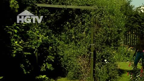 HGTV_NMWO_Rosliny_Doniczkowe