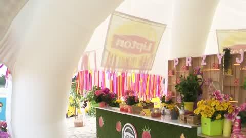 DD_20230813_PP_Lipton_REP